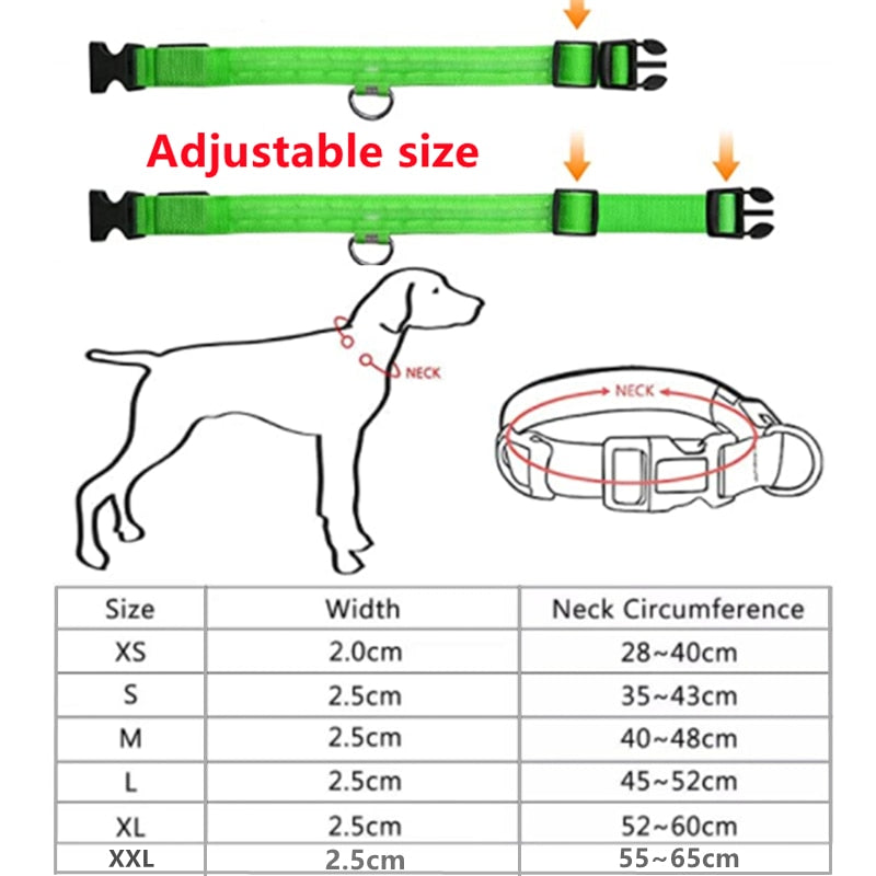 Luminous Dog Collar