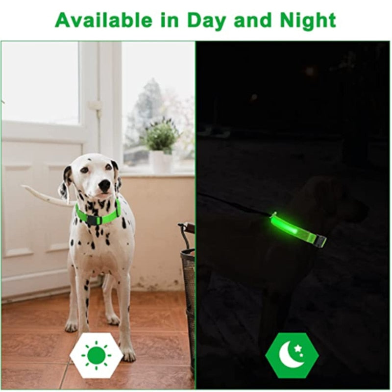 Luminous Dog Collar