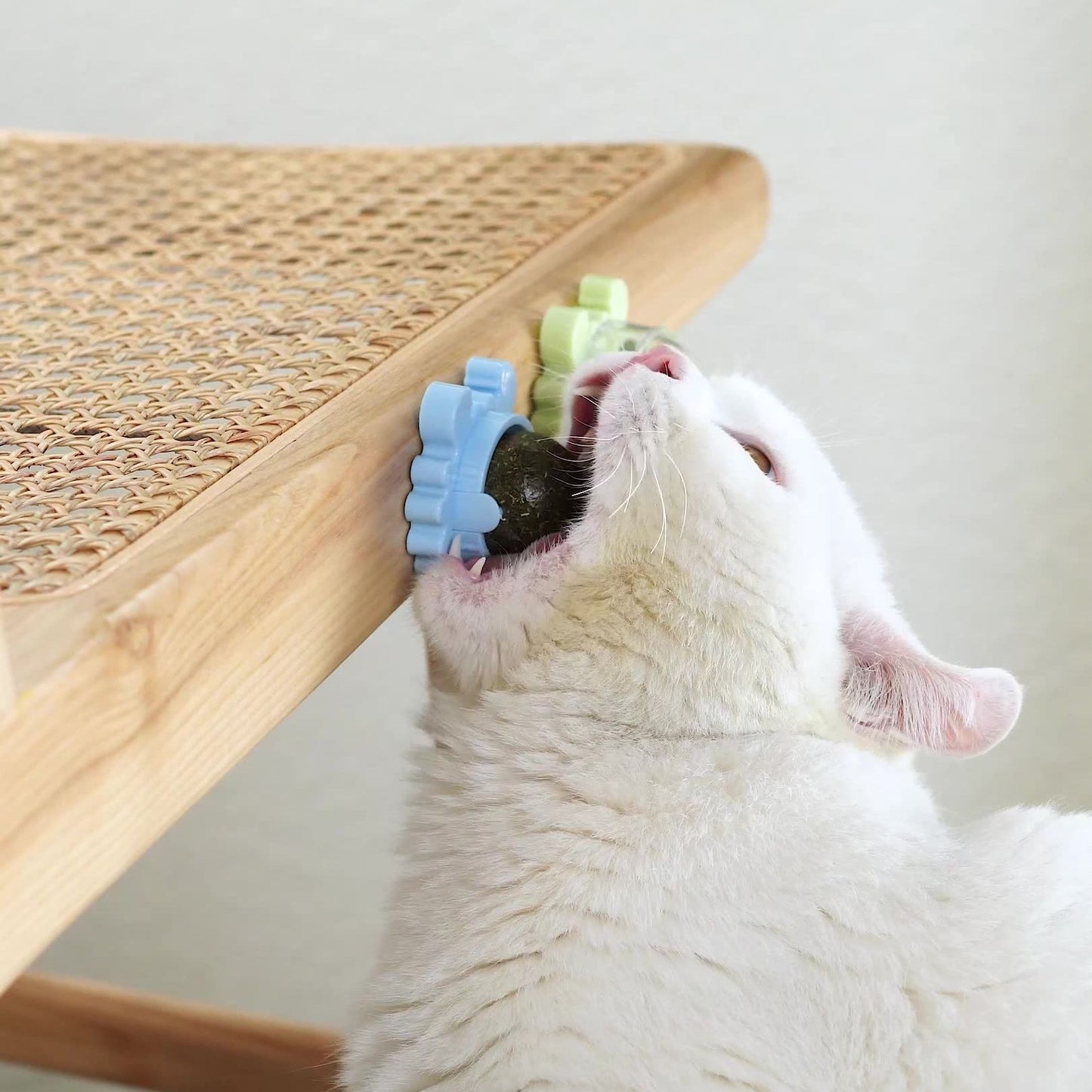 Healthy Cat Catnip Toys Snack